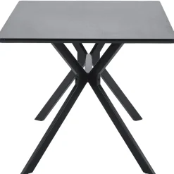 Hot WOOOD Bruno eettafel rechthoek mdf zwart 160x90 cm