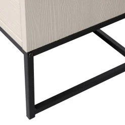 New WOOOD Silas 2-deurs kast grenen Dust